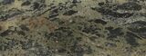 Apache Gold (Polished Chalcopyrite) Slab - Arizona #93806-1
